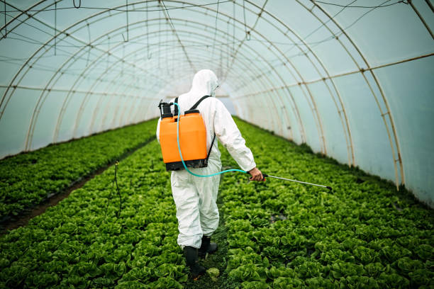 Best Best Pest Control Companies  in Fern Acres, HI