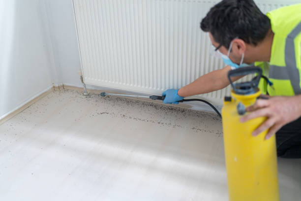 Best Bed Bug Extermination  in Fern Acres, HI
